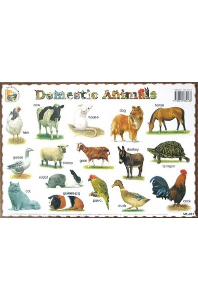 Domestic animals: учебно табло на английски език