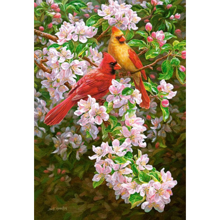 Spring Romance