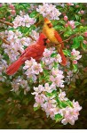 Spring Romance