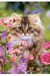 Furry softness
