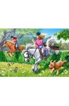 Horse Jumping