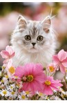 Made of Fur