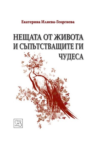 Нещата от живота и съпътстващите ги чудеса