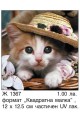 Картичка Коте с шапка