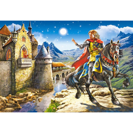 Knight and Princess