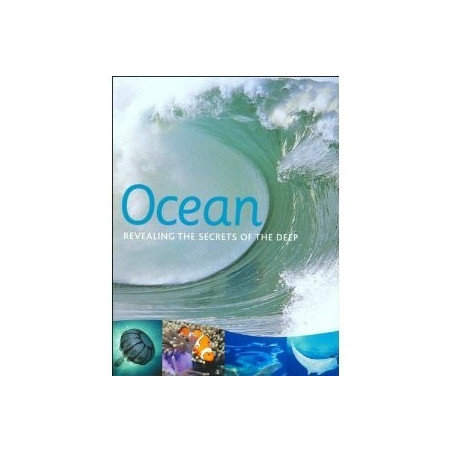Ocean