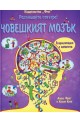 Разгледайте отвътре: Човешкият мозък