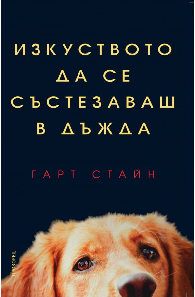 Изкуството да се състезаваш в дъжда