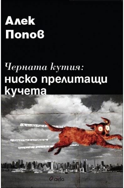 Черната кутия: ниско прелитащи кучета