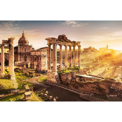 VIEW OF THE FORUM ROMANUM