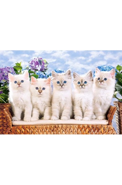 Пъзел - Blue-Eyed Kittens 