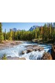 Пъзел - Athabasca River, Jasper National Park, Canada