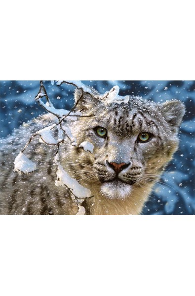 Пъзел - Snow Leopard