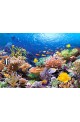 Пъзел - Coral Reef Fishes