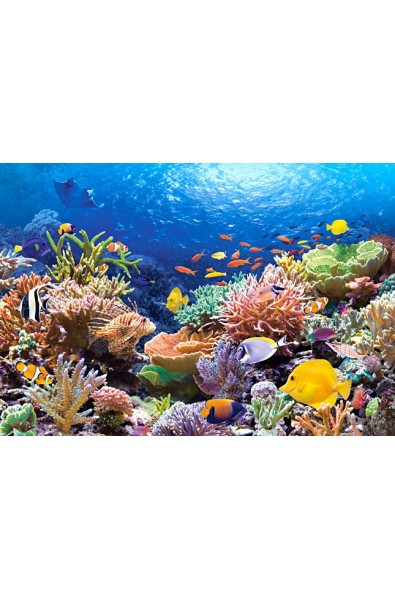 Пъзел - Coral Reef Fishes