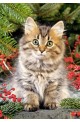 Пъзел - Maine Coon amongst Berries