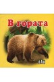 В гората - Картонена книжка