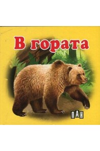 В гората - Картонена книжка