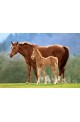 Пъзел - Westfalian Mare With Foal