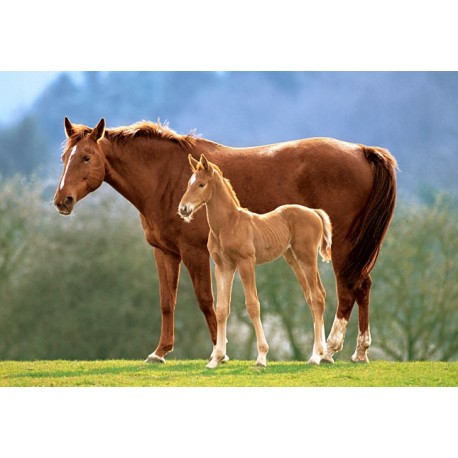 Пъзел - Westfalian Mare With Foal