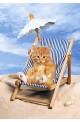 Пъзел - Kitten in a Deckchair