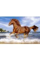 Пъзел - Horse on the beach