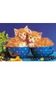 Пъзел - Kittens in Bowls