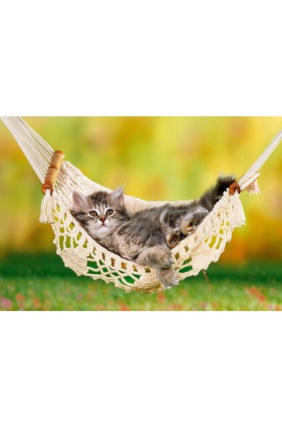 Пъзел - Kitten in Hammock