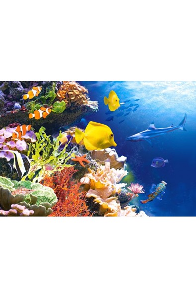 Пъзел - Coral Reef