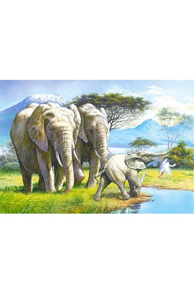 Пъзел - Elephant Family