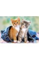 Пъзел - Two Kittens in Jeans