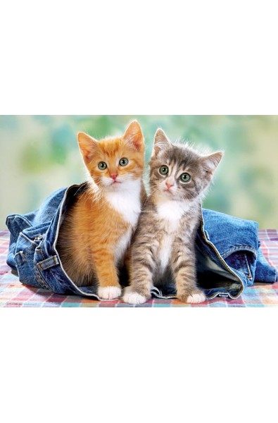 Пъзел - Two Kittens in Jeans