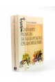 Големите разкази на Българското средновековие