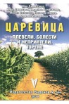 Царевица - плевели, болести и неприятели. торене