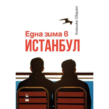 Една зима в Истанбул