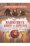 Защо маймуните живеят по дърветата и други приказки за дивите животни