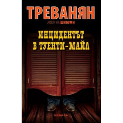 Инцидентът в Туенти-мейл