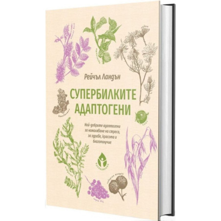 Супербилките адаптогени