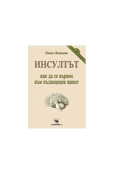 Инсултът – как да се върнем към пълноценен живот 