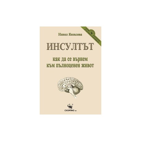 Инсултът – как да се върнем към пълноценен живот 