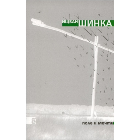 Поле и мечти