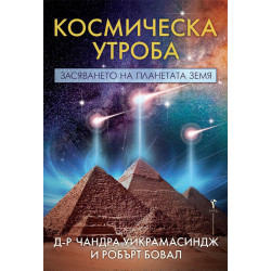 Космическа утроба. Засяването на планетата Земя