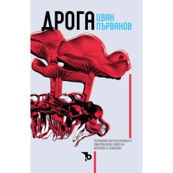 Дрога