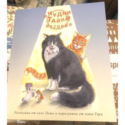 Чудни и тайни истории