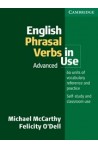 English Phrasal Verbs in Use. Advanced Book