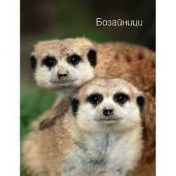 Бозайници - Илюстрована Научна Енциклопедия