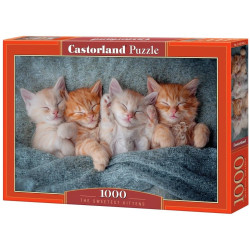 Пъзел Castorland от 1000 части - Най-сладките котенца