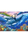 Dolphin Lagoon