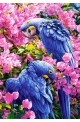 Blue Parrots