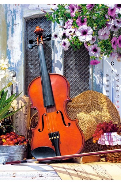 Violin's Melody